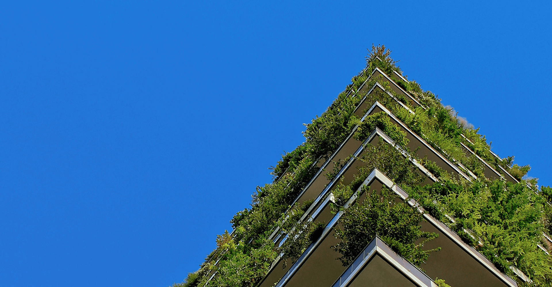 What Property Developers need to know about ESG